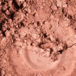 Qu'est-ce que l'argile rouge et quels sont ses bienfaits ? | La Savonnerie de Nyons Argile rouge : bienfaits pour la peau et les cheveux