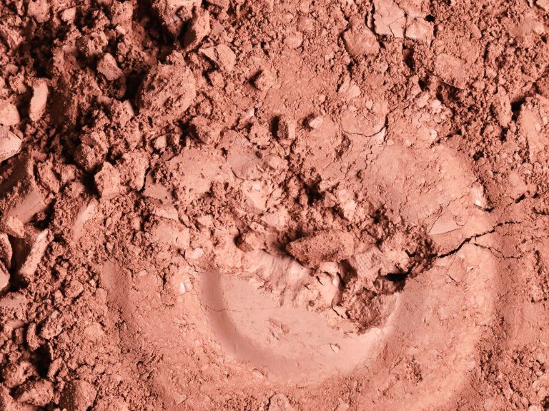 Argile rouge : bienfaits pour la peau et les cheveux