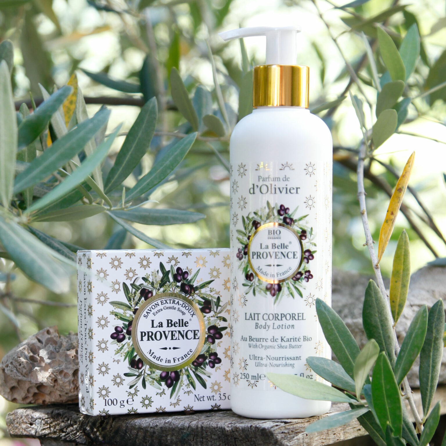 Savon solide de 100g et Lait pour le corp de 250ml á l'olive de la collecction "La Belle Provence" au milieu des oliviers - Fabrication traditionnelle française par La Savonnerie de Nyons