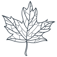 La Savonnerie de Nyons | La Savonnerie de Nyons AutomneLeaf | La Savonnerie de Nyons