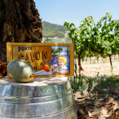 Le coffret de savon rotatif de La Savonnerie de Nyons comprenant le support mural en inxo ou laiton et le savon de 260 grammes présentés dans un decor provençal authentique avec des vignes