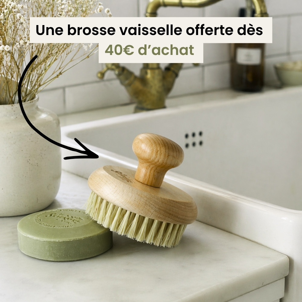 Brosse vaisselle offerte