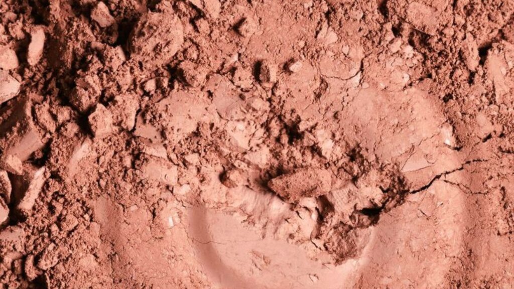 Argile rouge : bienfaits, pour quelle peau et comment l'utiliser | La Savonnerie de Nyons Argile rouge : bienfaits pour la peau et les cheveux